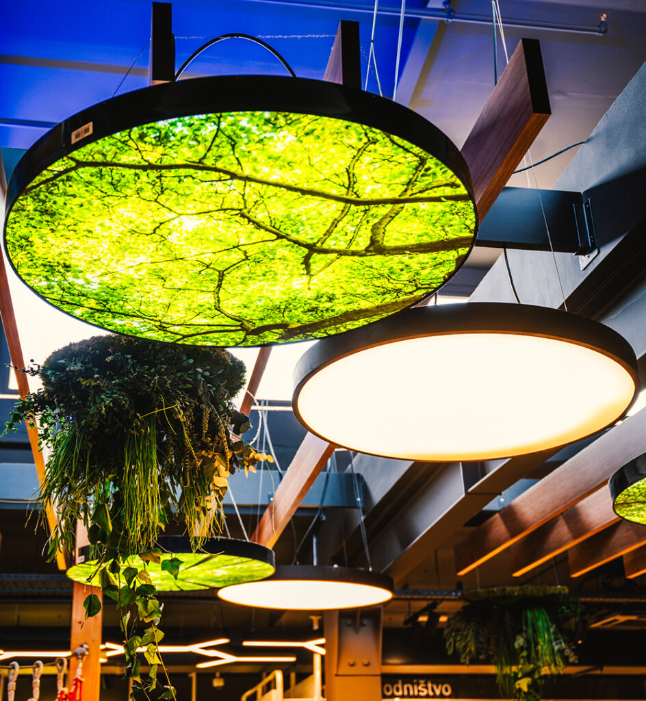 3LB-LIGHTBOX-EVMA (1) (1)